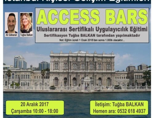 ACCESS BARS Uygulayıcılık Eğitimi – 20 Aralık 2017 – İSTANBUL